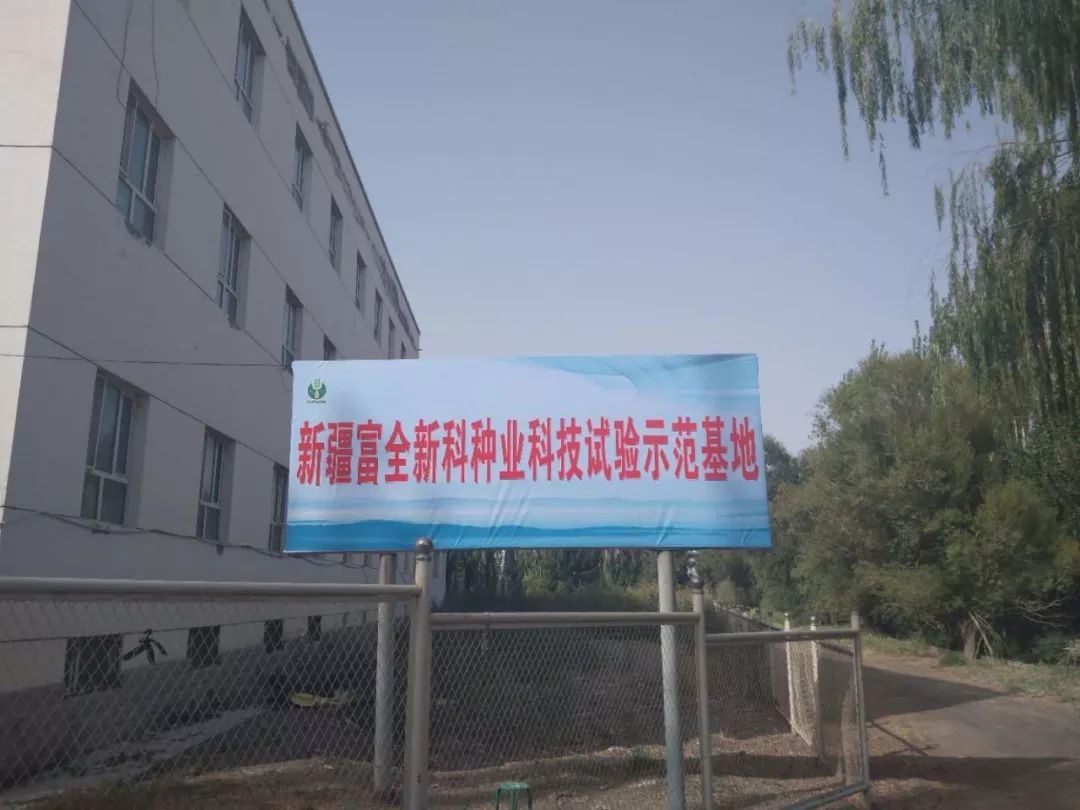 州領(lǐng)導(dǎo)及棉花專(zhuān)家蒞臨富全新科種業(yè)良繁基地觀(guān)摩指導(dǎo)工作